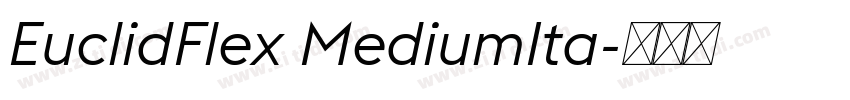 EuclidFlex MediumIta字体转换